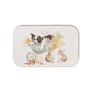 Wrendale 'SLEEPING ON THE JOB' Dog Mini Tin