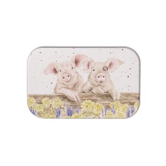 Wrendale 'NOSY NEIGH-BOARS' Pig Mini Tin