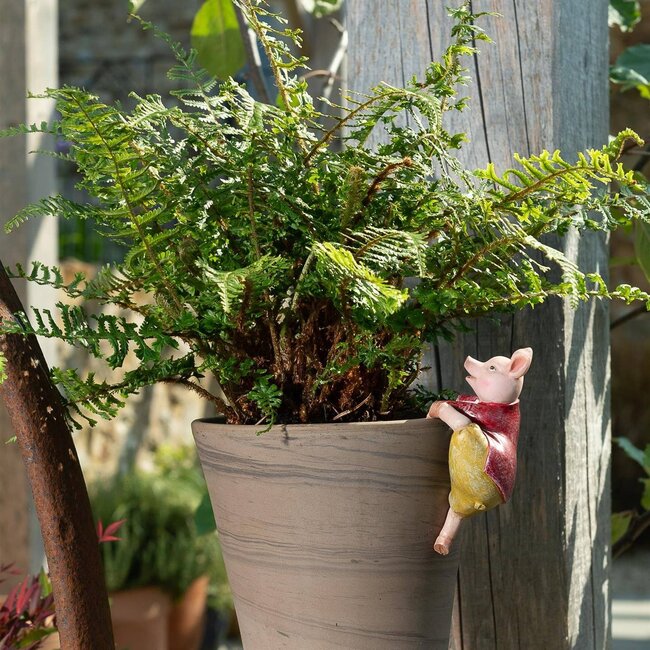Pigling Bland Plant Pot Hanger