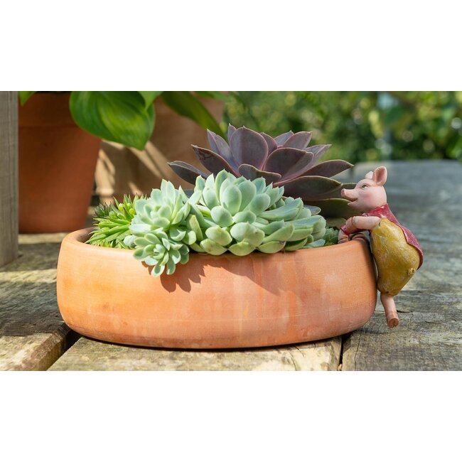 Pigling Bland Plant Pot Hanger