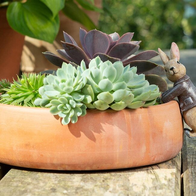 Plant Pot Hanger - Benjamin Bunny
