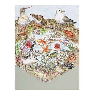 Wrendale 'SECRETS OF THE SEA' Nature Notecard Pack