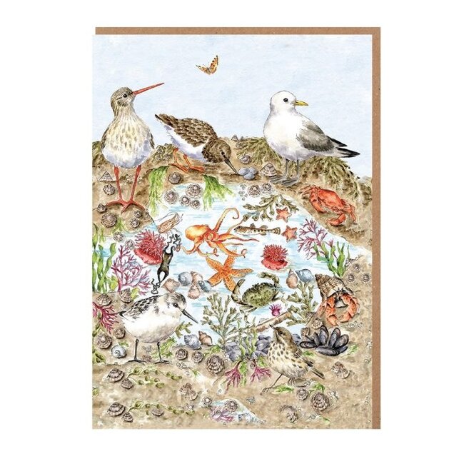 Wrendale 'SECRETS OF THE SEA' Nature Notecard Pack