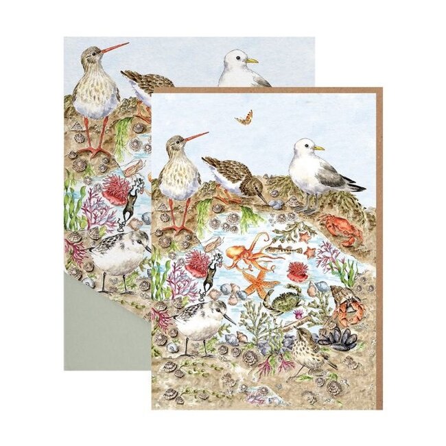 Wrendale 'SECRETS OF THE SEA' Nature Notecard Pack