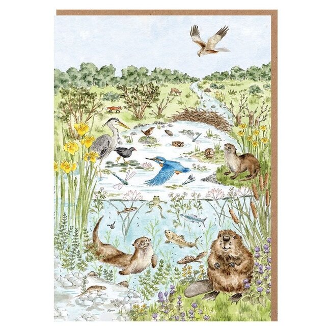 Wrendale 'THE RIVERBANK' Nature Notecard Pack