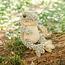 Wrendale 'ELLIOTT' Frog Medium Plush