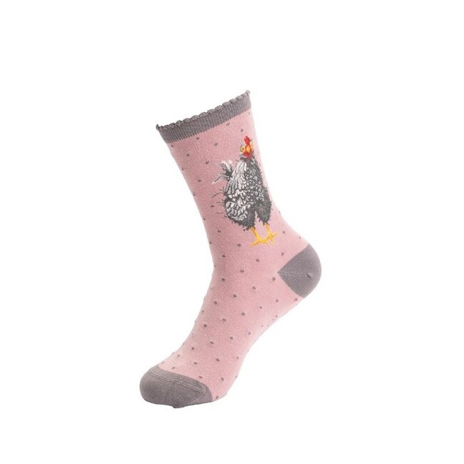 Wrendale Women's Socks - 'CURIOUS HEN' Chicken