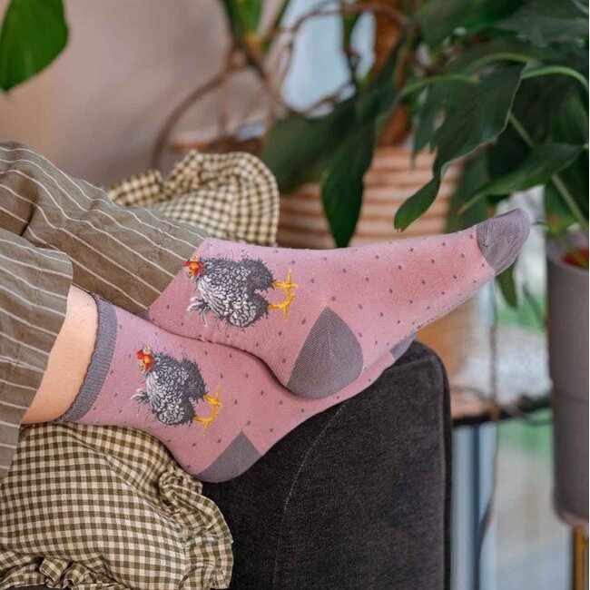 Wrendale Women's Socks - 'CURIOUS HEN' Chicken