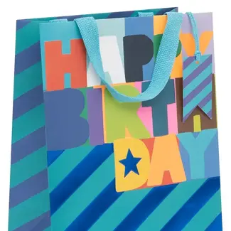 Bag - Large - Vivid Cobalt