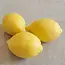 Au Savon de Marseille Soap- shape and scent of real Lemon 125g