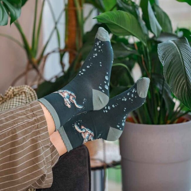 Wrendale 'SWIMMING SCHOOL' Turtle Socks - Women