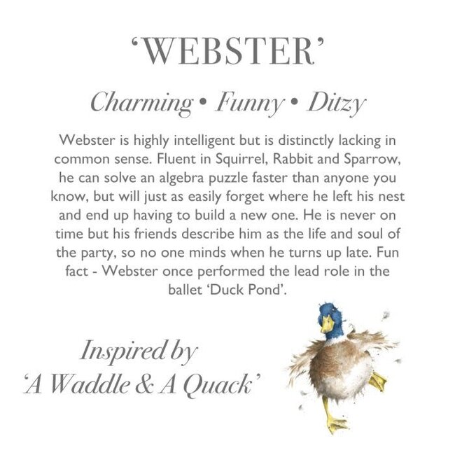 Wrendale 'WEBSTER' Duck Character - Medium Plush