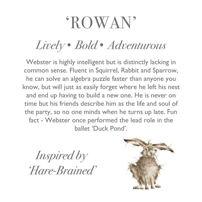 Wrendale 'ROWAN' Hare Character