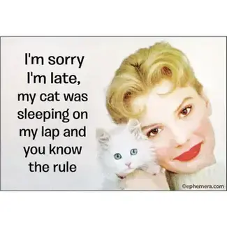 Ephemera Magnet -  I'm sorry I'm late, my cat was sleeping