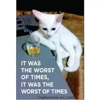 Ephemera Magnet- It was the worst of times
