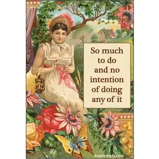 Ephemera Magnet - So much to do and no intention of doing any of it.