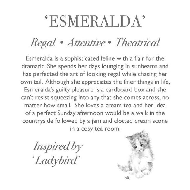 Wrendale 'ESMERALDA' Cat Character - Medium Plush