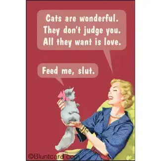 Ephemera Magnet- Cats are wonderful. They don't judge you….