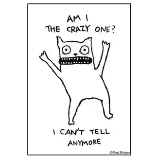 Ephemera Magnet - Am I The Crazy One? I Can't Tell Anymore