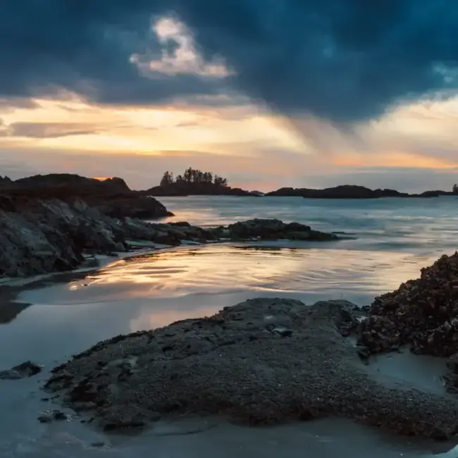 Isle of Rose Candle Co Candle - Lost Cove