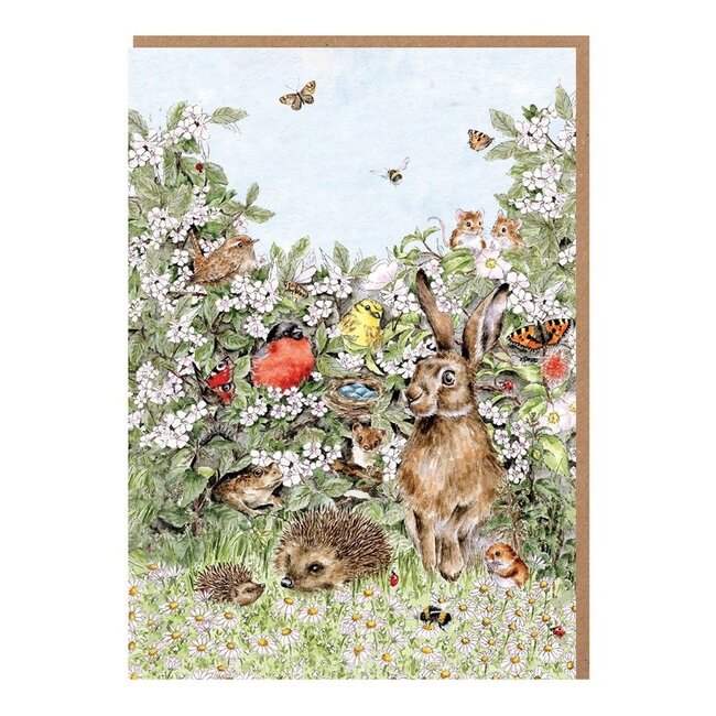 Wrendale 'HIDDEN IN THE HEDGEROW' Nature Notecard Pack