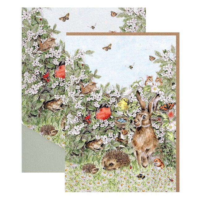 Wrendale 'HIDDEN IN THE HEDGEROW' Nature Notecard Pack