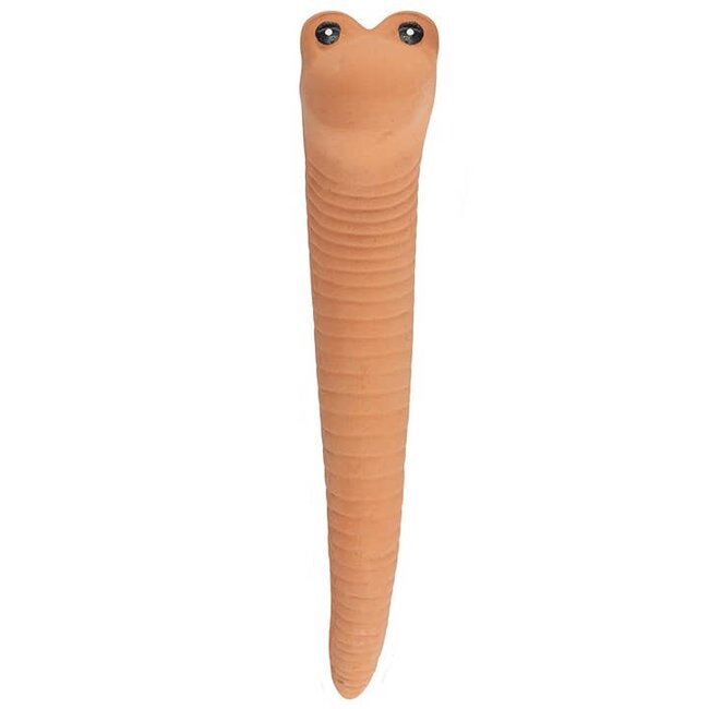 Willy the Worm Plant Water Sensors