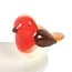 Robin Bird Bath Trinket Dish
