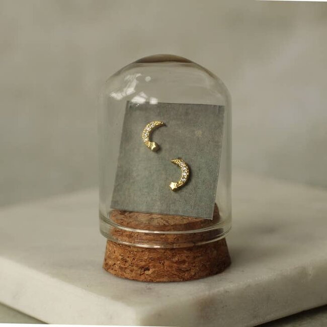 Silk Purse, Sow's Ear Gold Vermeil Moon Stud Earrings