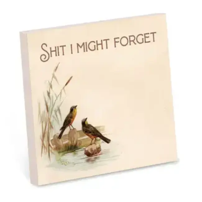 Bad Betty Sticky Note Pad - Shit I Might Forget