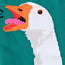 Sock it to me Men's Socks - Honk!