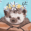 Sock it to me Ladies Socks - My Dear Hedgehog