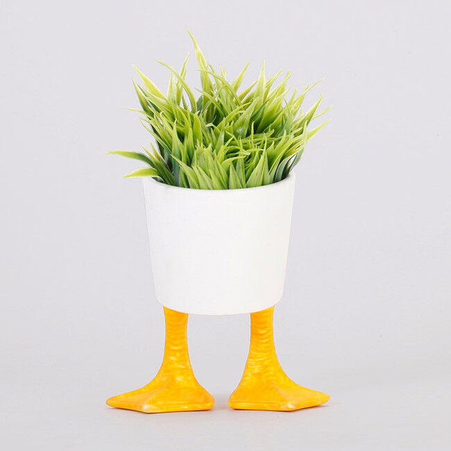 Small Duck Feet Planter