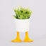 Small Duck Feet Planter