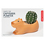 Cappy The Capybara Planter Small