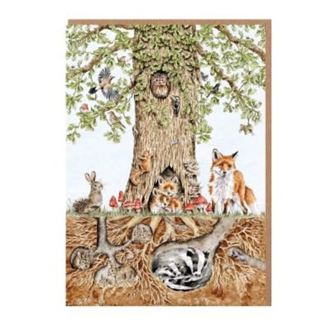 Wrendale 'WILD WOODLAND' Nature Notecard Pack