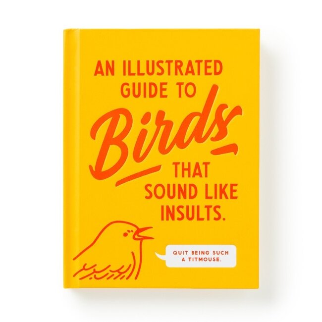 An Illustrated Guide to Birds that Sound like Insults