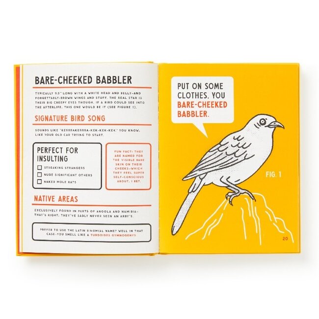 An Illustrated Guide to Birds that Sound like Insults