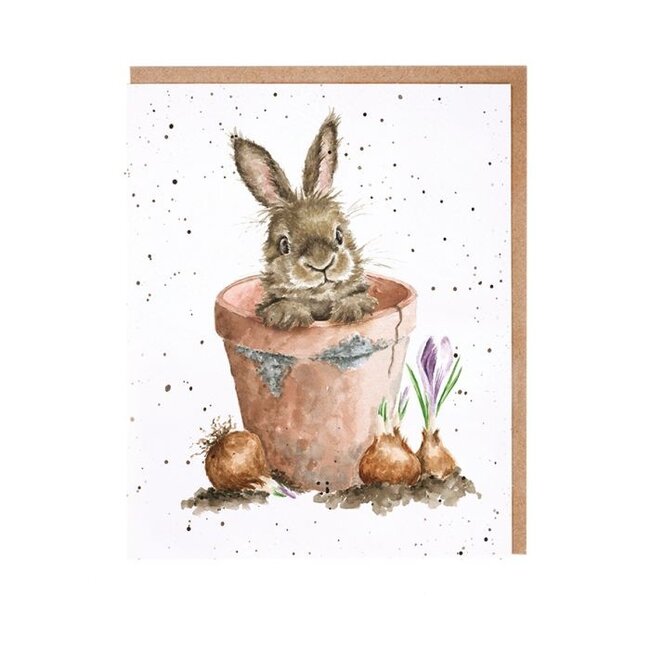 Wrendale 'THE FLOWER POT' Rabbit Notecard Set
