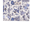 Fable England Ditsy Blue Wallet