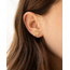 Fable England Flying Pig Stud Earrings