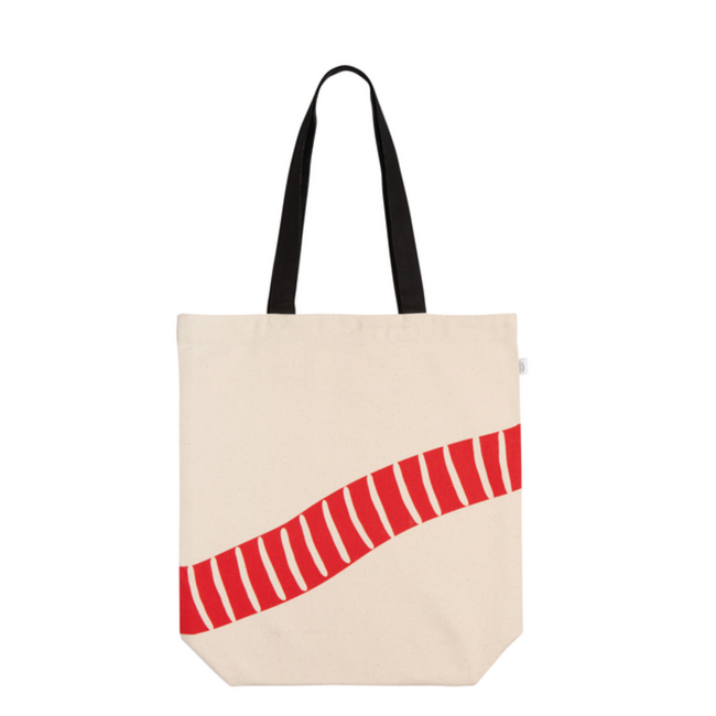 Danica Imports Everyday Dashing Dach Tote Bag