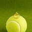 Adjustable Cubic Zirconia Tennis Racket Ring