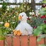 Wrendale 'PEARL JUNIOR' Goose Plush Character - Medium