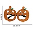 E&S Accessories Halloween Glasses