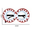 E&S Accessories Halloween Glasses