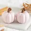Pink Curly Pumpkin Autumn Salt and Pepper Shakers