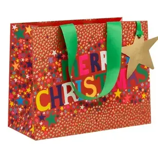 Bag - Medium - Landscape - Christmas Starburst