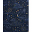 Fable England Zodiac Long Fringed Scarf in Navy