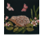Fable England Hedgehog Embroidered Small Wallet in Forest Green Velvet